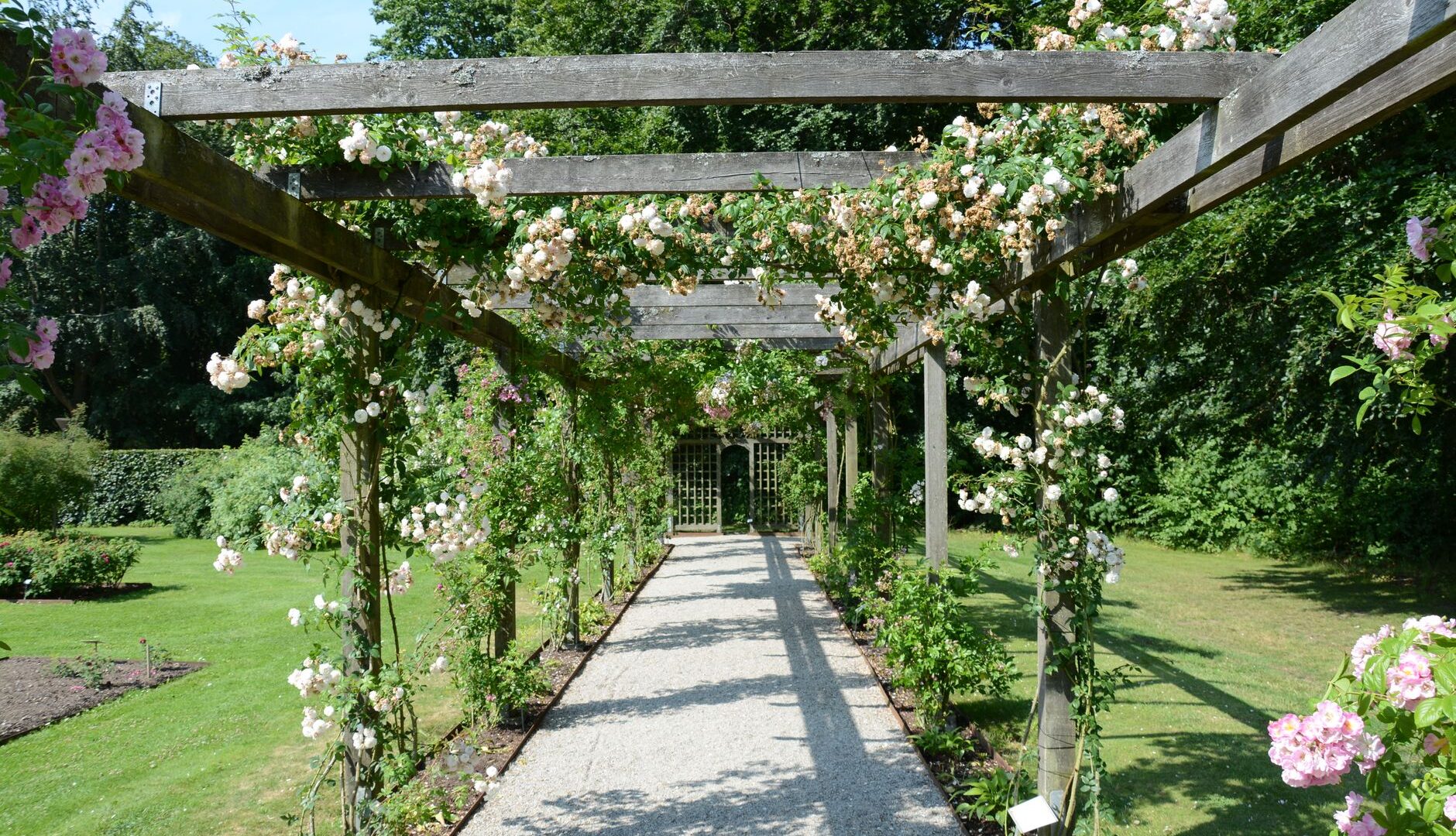 Pergola Nedir? Pergola Tente ile Farkı