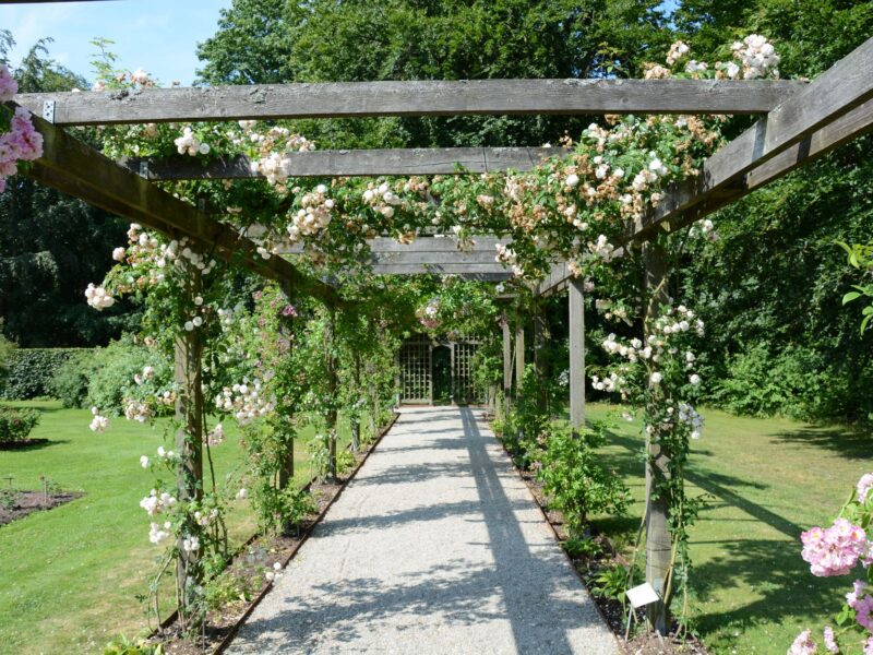 Pergola Nedir? Pergola Tente ile Farkı